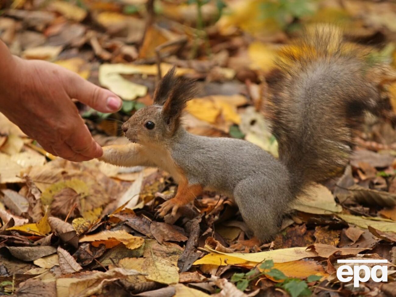 Октябрь начнется с дождей, но месяц еще порадует теплом и солнцем