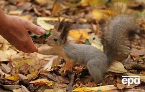 Октябрь начнется с дождей, но месяц еще порадует теплом и солнцем