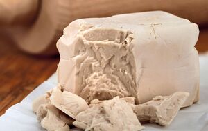 У дріжджів, придатних для вживання, має бути приємний запах із легкою кислинкою