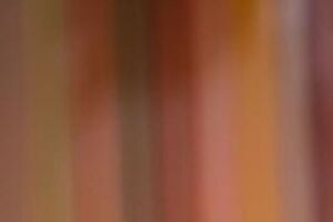 Вантух признался, что машине марки Honda Accord, на которой он ездит, – более 20 лет