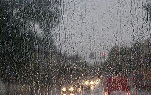 Диденко обещает, что "одинаково везде будет влажная пасмурная погода"