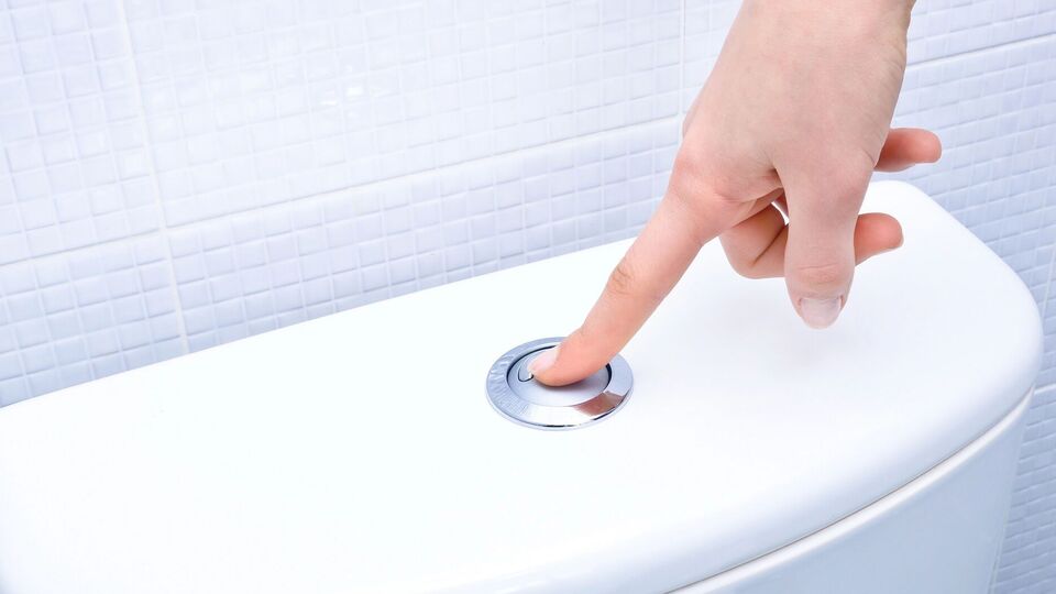 Нужно знать, какую именно кнопку смыва уместно нажимать