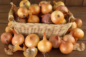 Лук лучше хранить отдельно от других овощей