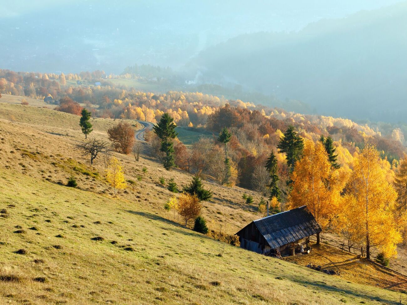 Two communities invited the Belgian Ambassador to visit Zakarpattia and gain insight into their initiatives