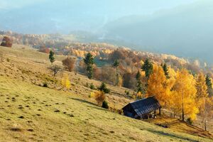 Two communities invited the Belgian Ambassador to visit Zakarpattia and gain insight into their initiatives