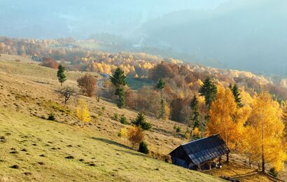 Two communities invited the Belgian Ambassador to visit Zakarpattia and gain insight into their initiatives