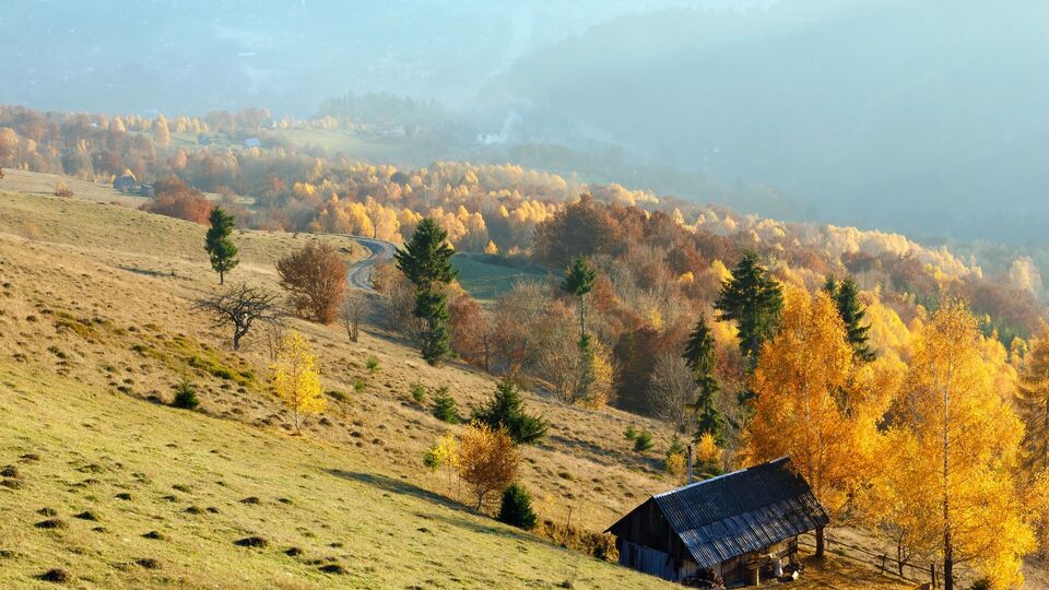 Two communities invited the Belgian Ambassador to visit Zakarpattia and gain insight into their initiatives