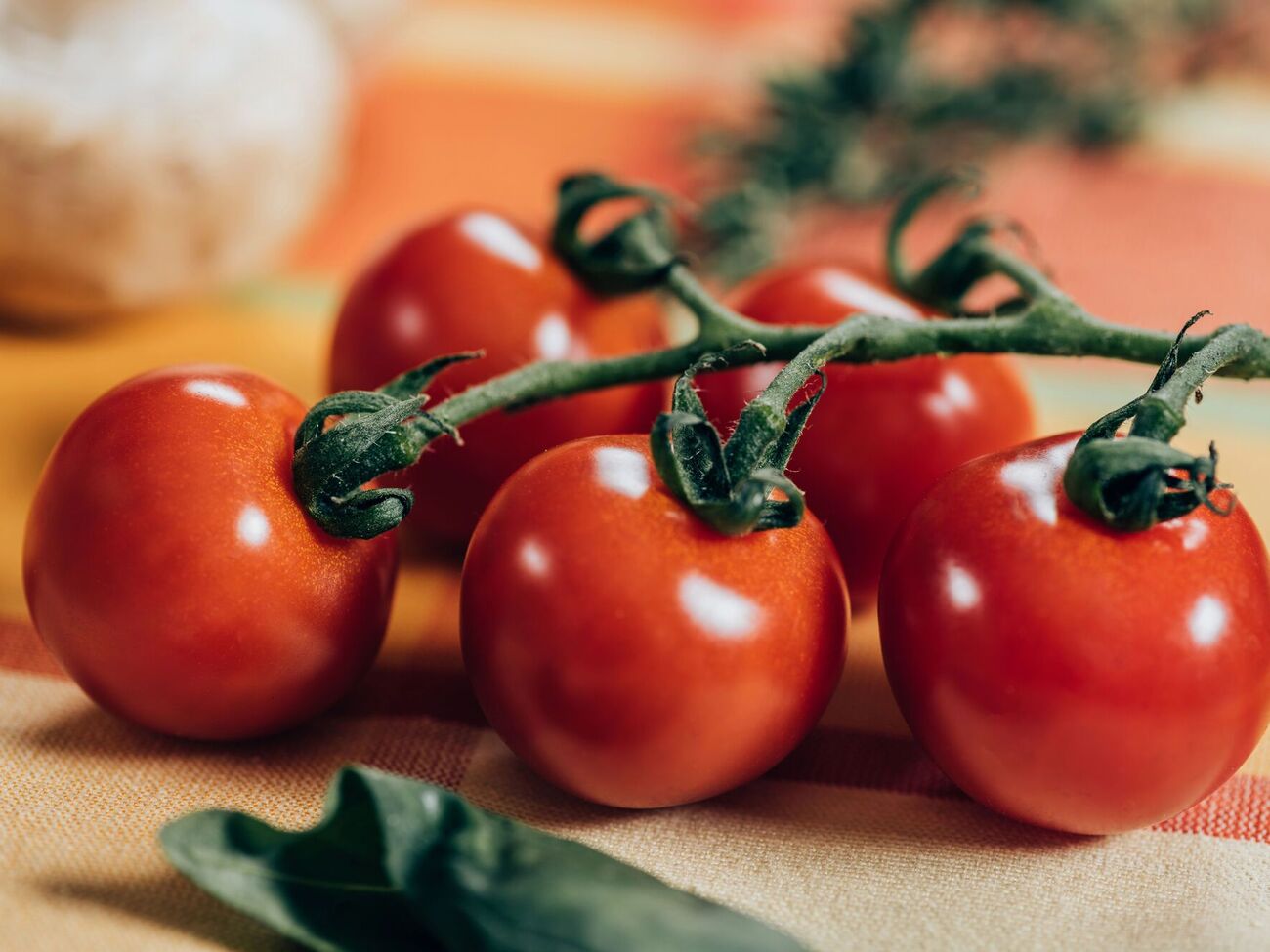 Свіжі помідори не можна класти в холодильник