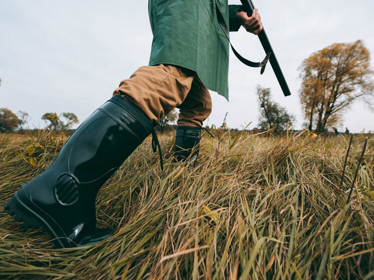 Мисливці вважають, що це стало "важливим рішенням для збереження біологічної рівноваги та протиепізоотичних заходів"