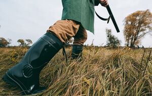 Мисливці вважають, що це стало "важливим рішенням для збереження біологічної рівноваги та протиепізоотичних заходів"