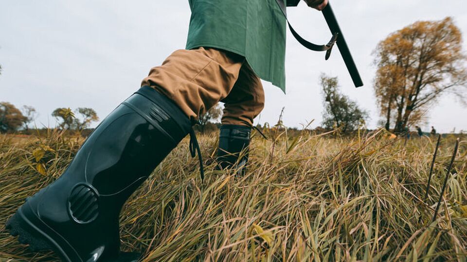 Охотники считают, что это стало "важным решением для сохранения биологического равновесия и противоэпизоотических мер"