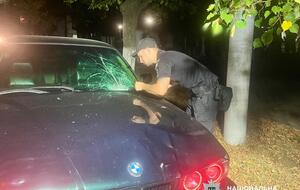 По данным "Суспільного", в Измаиле насмерть сбили дочь депутата Бойченко