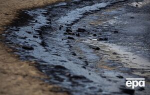 В Краснодарском крае РФ нефть загрязнила 70 км пляжей