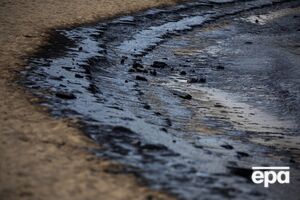 В Краснодарском крае РФ нефть загрязнила 70 км пляжей