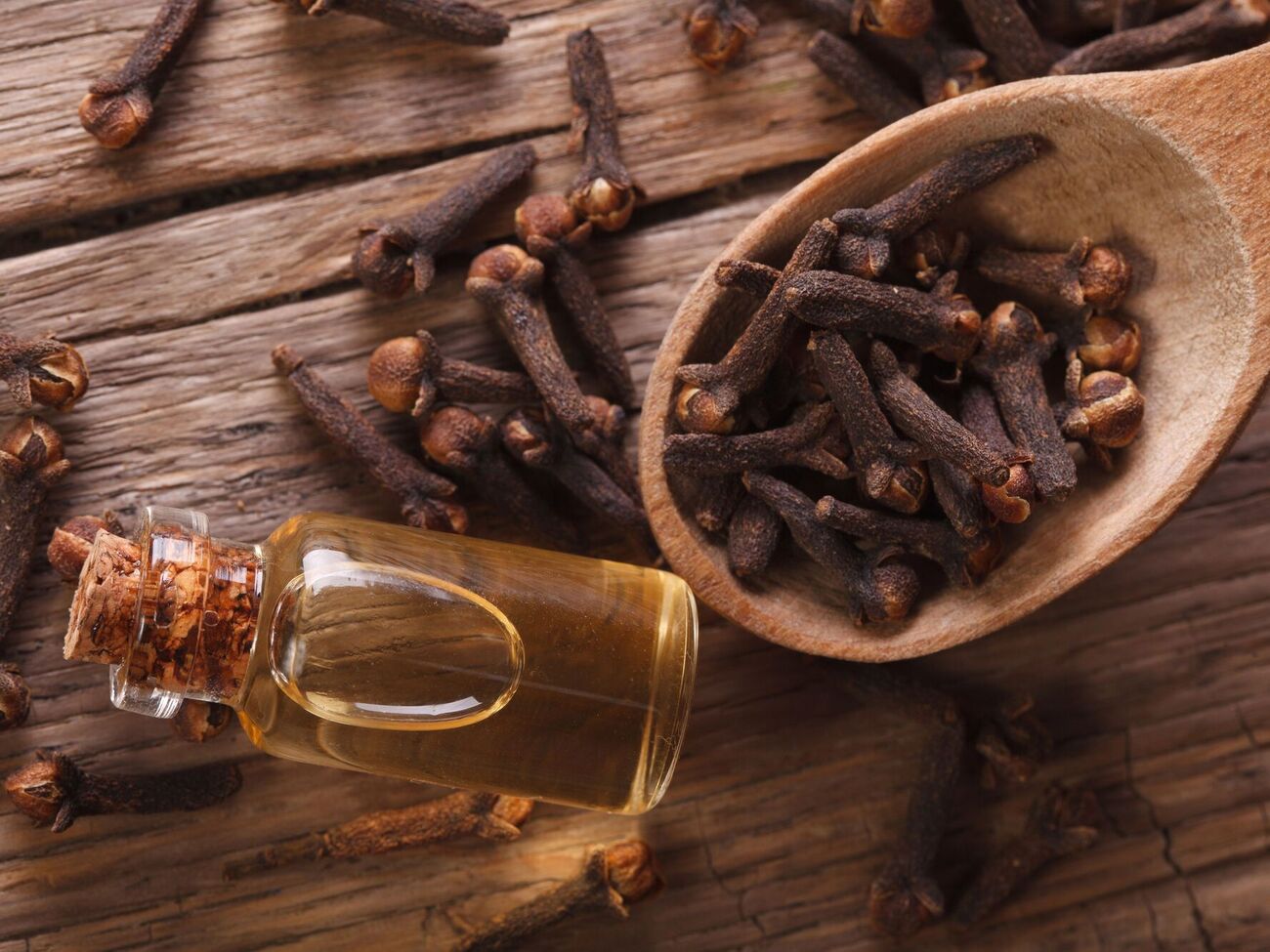 Гвоздику используют несколькими способами в борьбе с вредителями