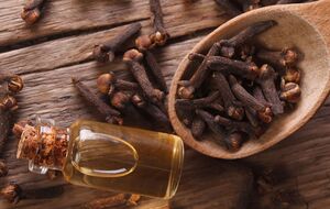 Гвоздику используют несколькими способами в борьбе с вредителями