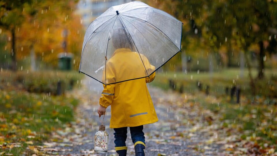 Начало недели будет дождливым, предупредили синоптики