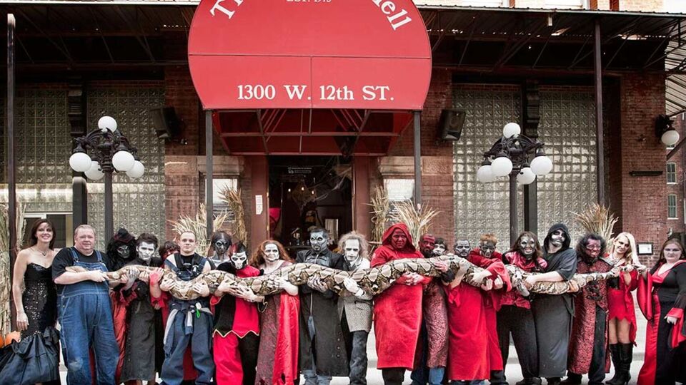 В 2011 году длина Медузы достигала более семи метров