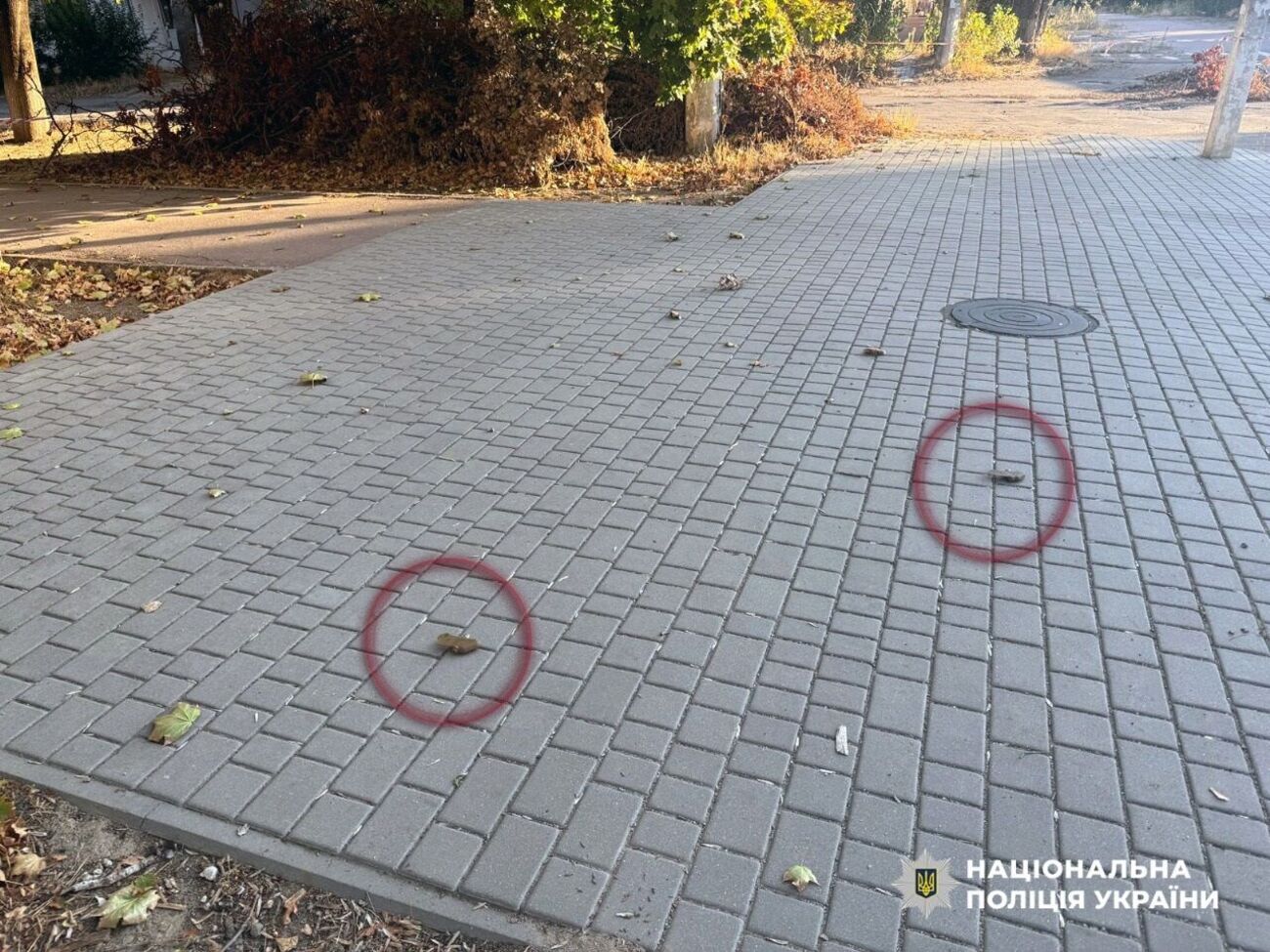 Поліція показала, який вигляд мають російські міни на дорозі