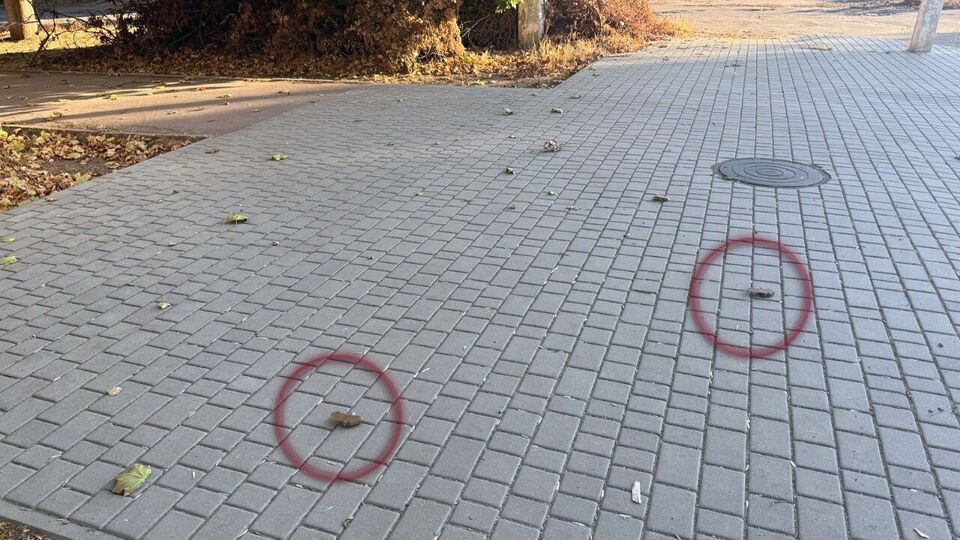 Полиция показала, как выглядят российские мины на дороге