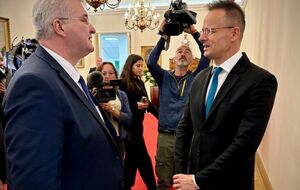 5 августа Сибига предложил Сийярто провести встречу