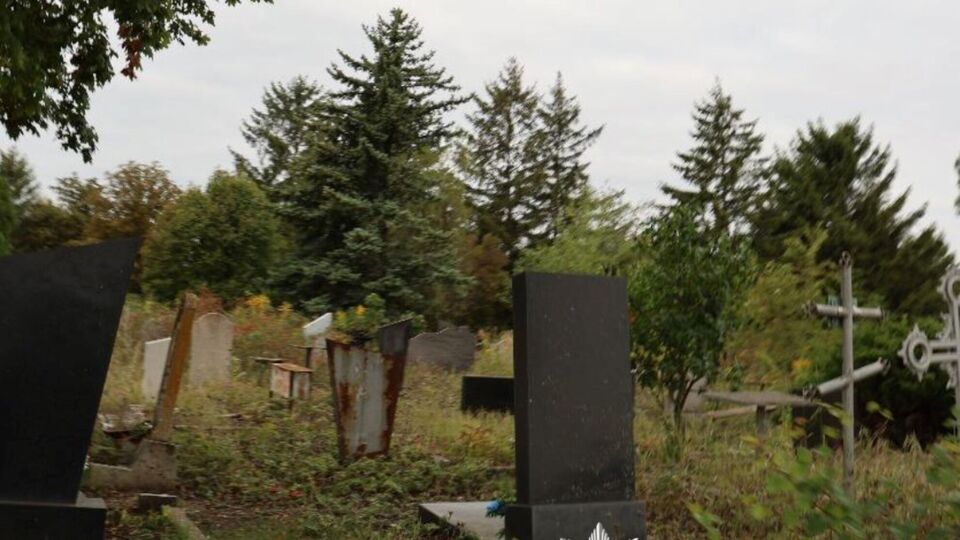 У зґвалтуванні підозрюють безробітного й раніше неодноразово судимого місцевого