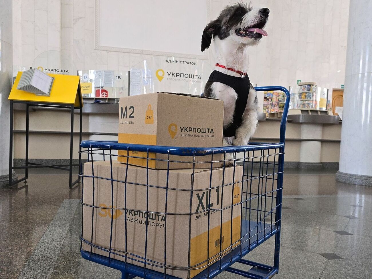 По словам главы "Укрпошти", получение посылок ускорится