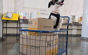 За словами глави "Укрпошти", отримання посилок пришвидшиться