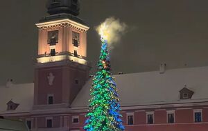 Пожар вызвали фейерверки и петарды, считают в полиции