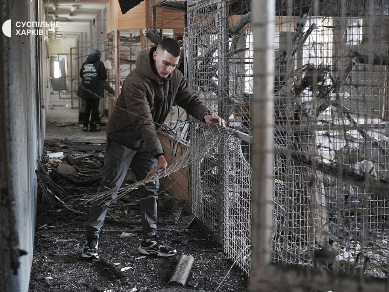 Снаряд попал рядом с птичником и вольерами с хищниками