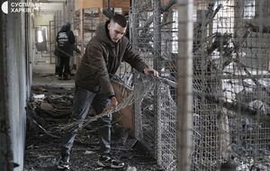 Снаряд попал рядом с птичником и вольерами с хищниками