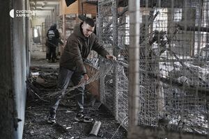 Снаряд попал рядом с птичником и вольерами с хищниками