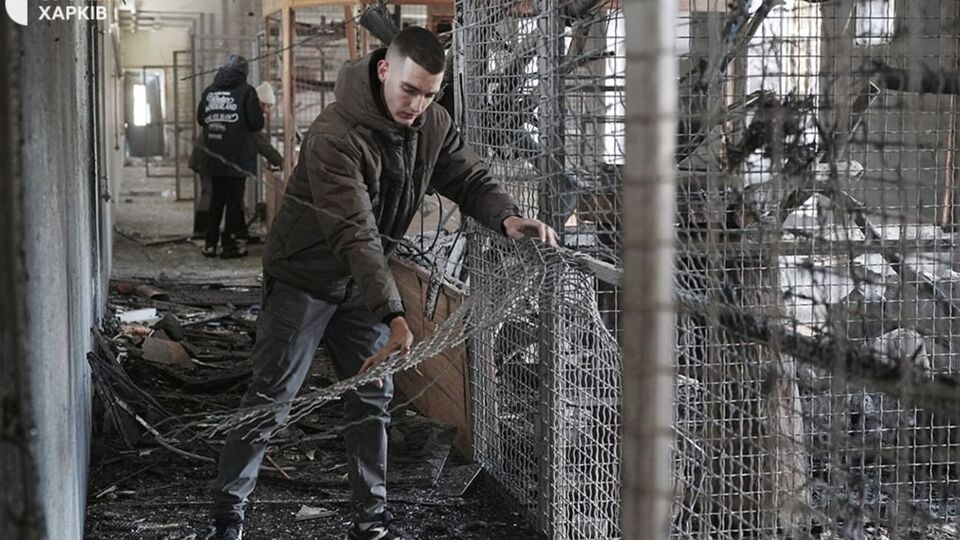 Снаряд попал рядом с птичником и вольерами с хищниками