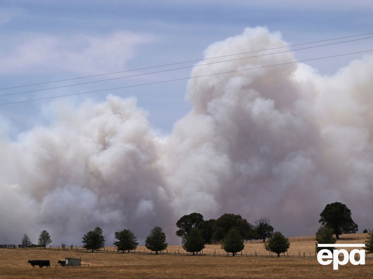 В Австралии из-за масштабных пожаров есть первая жертва, власти объявили эвакуацию. Фоторепортаж