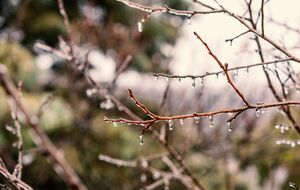 Синоптик прогнозирует незначительное потепление 15 января