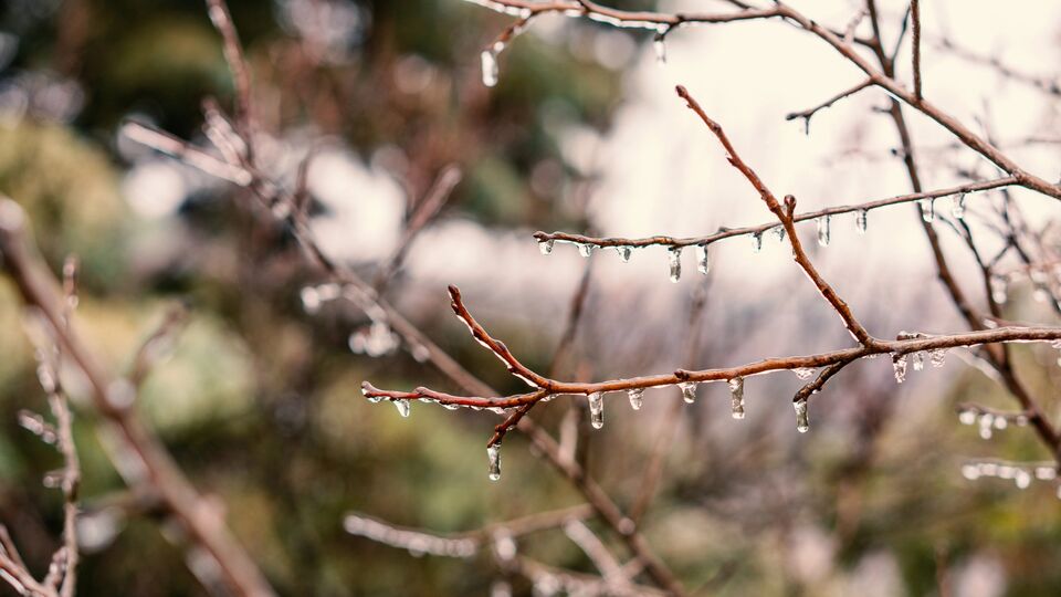 Синоптик прогнозирует незначительное потепление 15 января