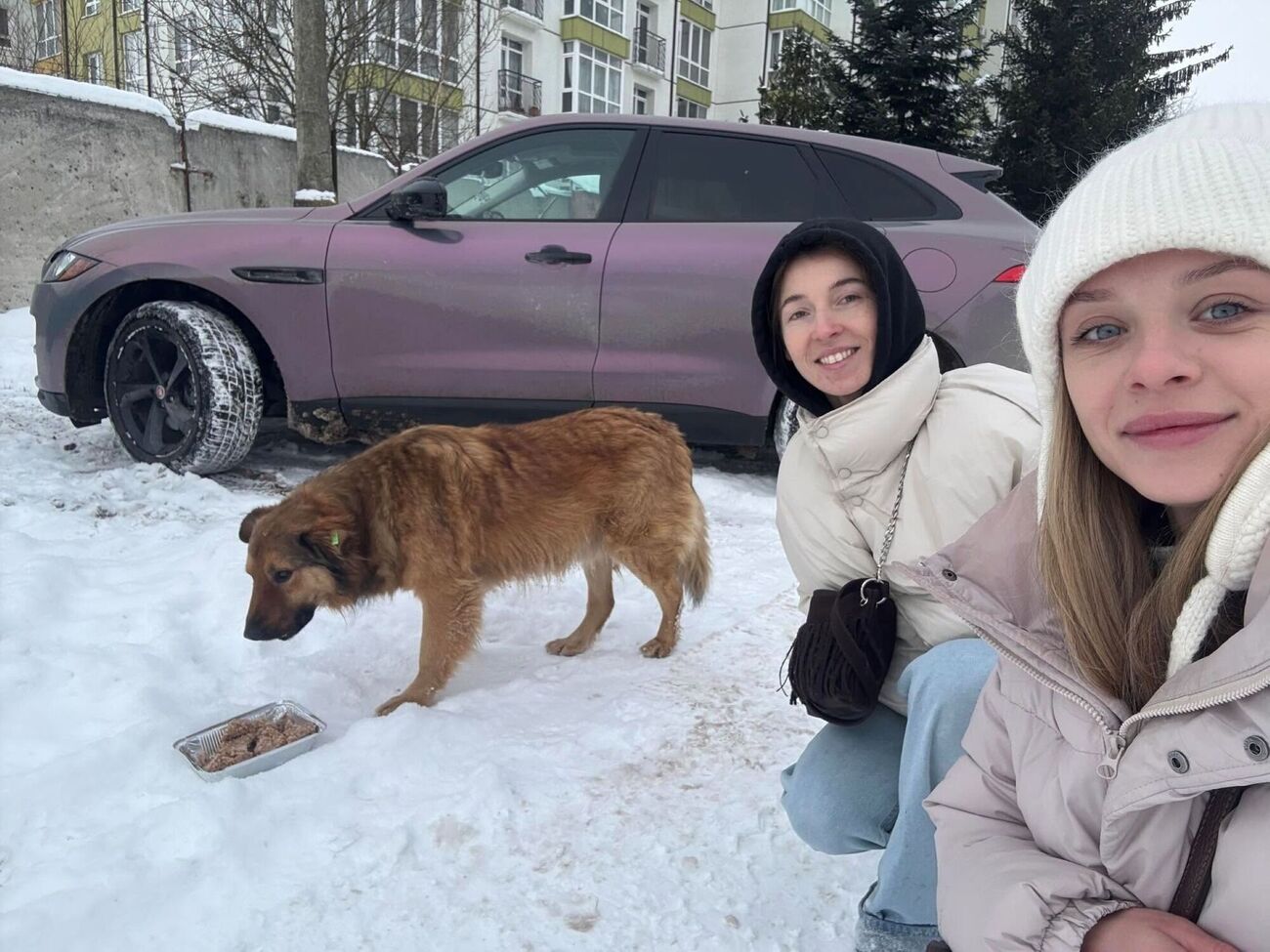 Остафил: Когда холод становится испытанием, человечность становится спасением