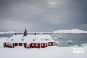 Трамп заявлял, что оборона Гренландии была усилена "лишь двумя собачьими упряжками"