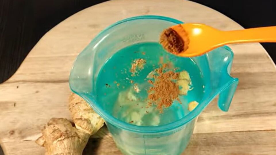 Для приготовления настоя понадобятся корица, гвоздика и имбирь
