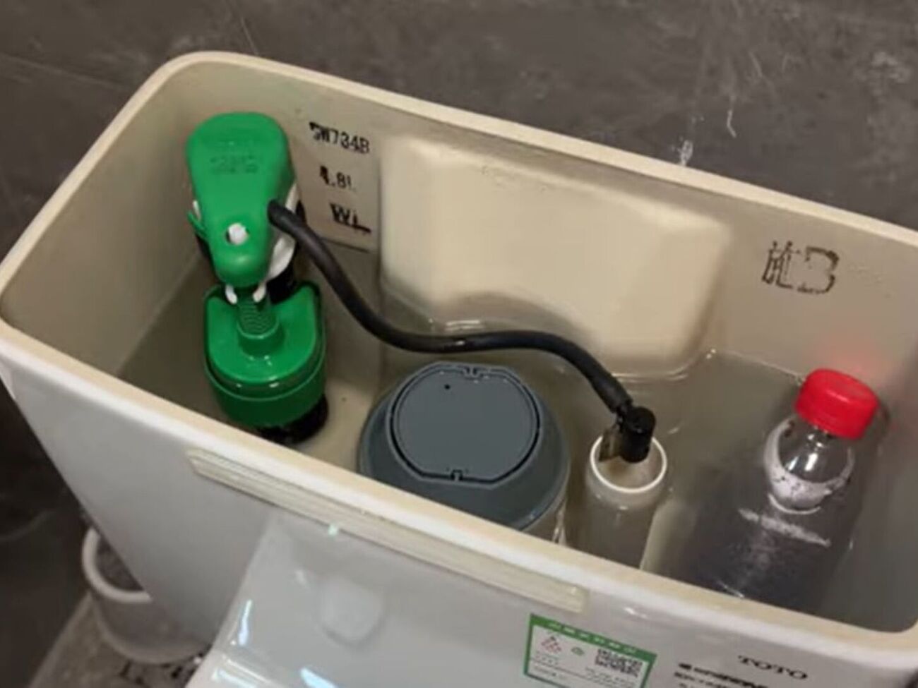 Пластикову пляшку із гвоздикою й таблеткою для посудомийної машини потрібно помістити в бачок