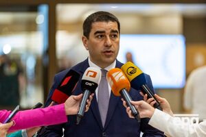 Папуашвілі назвав публікацію BBC наклепом