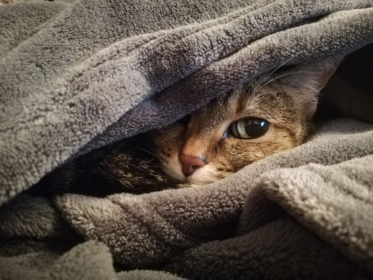 Альпіністка радить лягати спати всім разом, щоб було тепліше