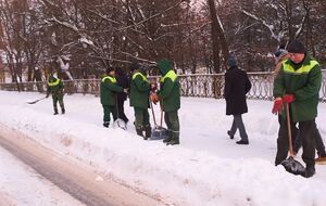 Лопату после уборки надо вернуть, подчеркнул мэр Ивано-Франковска