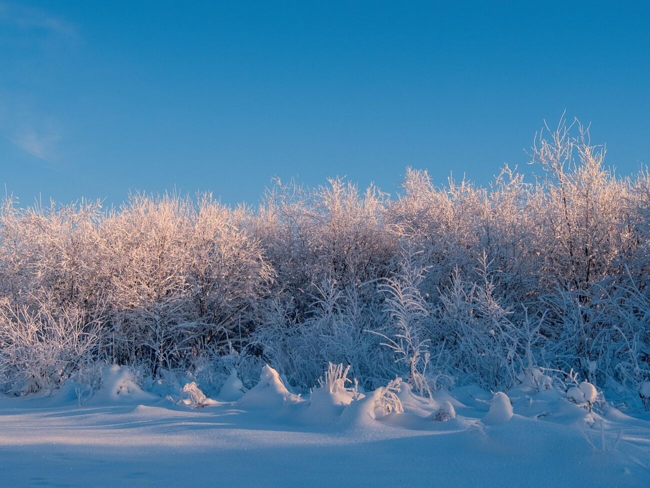 Очікувати українцям на значне тепло – "марні надії", каже Птуха