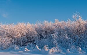 Очікувати українцям на значне тепло – "марні надії", каже Птуха