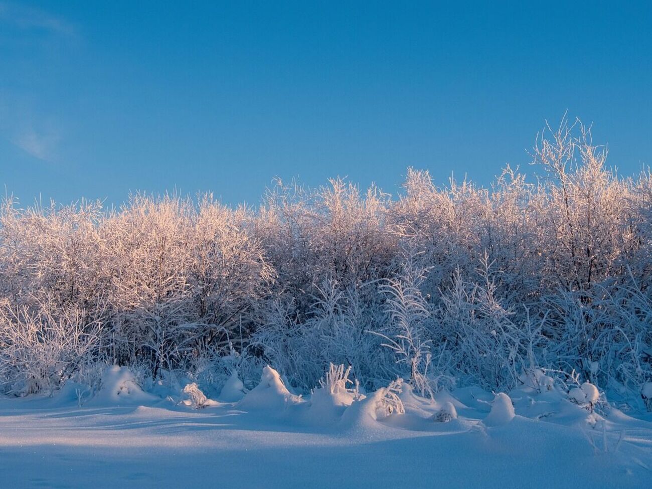 Очікувати українцям на значне тепло – "марні надії", каже Птуха