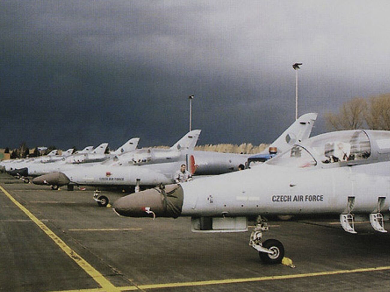 Армия Чехии имеет в своем распоряжении 24 самолета L-159, сообщили СМИ