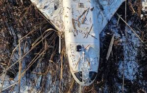 Російський БПЛА на території Молдови становить загрозу національній безпеці, вказали в МЗС країни