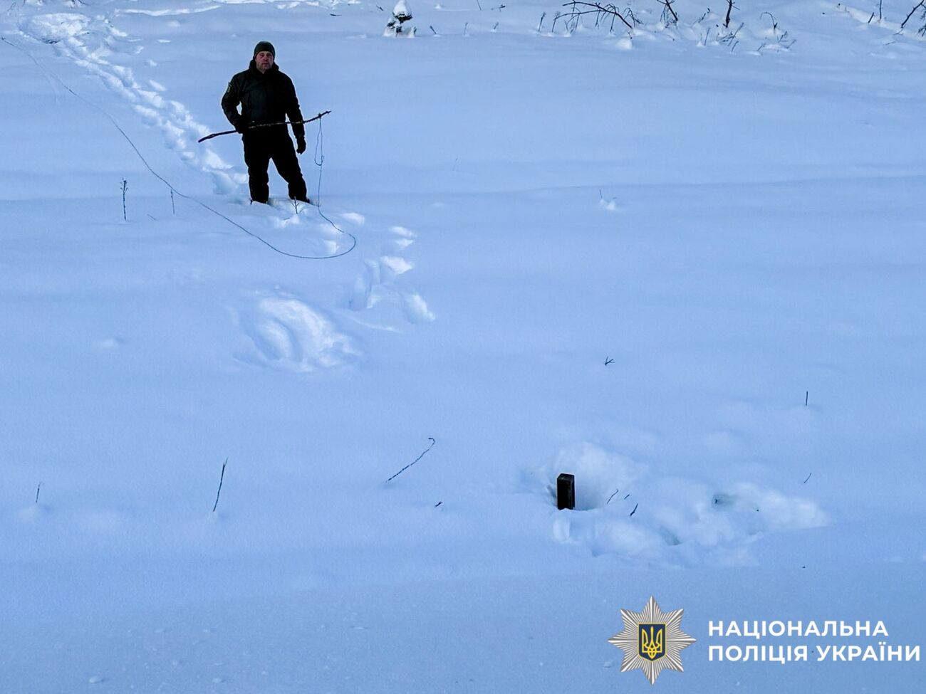 Міни мають магнітний датчик цілі, який реагує на зміну магнітного поля