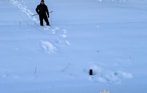 Міни мають магнітний датчик цілі, який реагує на зміну магнітного поля